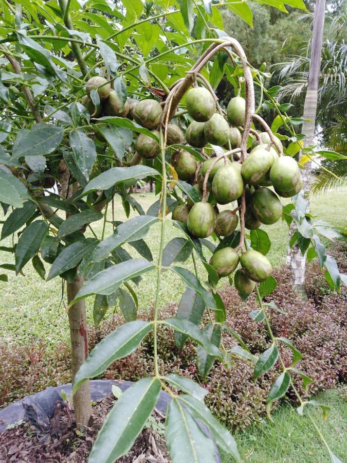 Estancia La Colina 圣多明各德洛斯科罗拉多斯 外观 照片